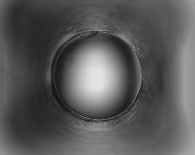 X0000089440008200706151422