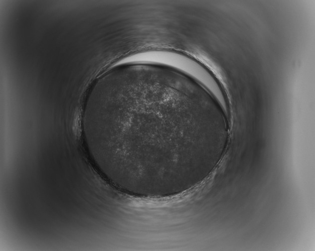 X0000089440009200706151422