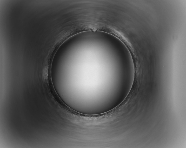 X0000089440010200706151422