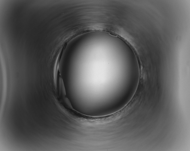X0000089440013200706151422