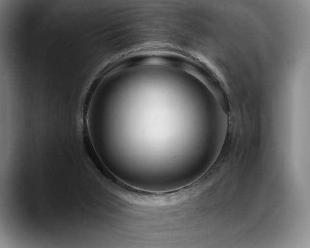 X0000089440015200706151422