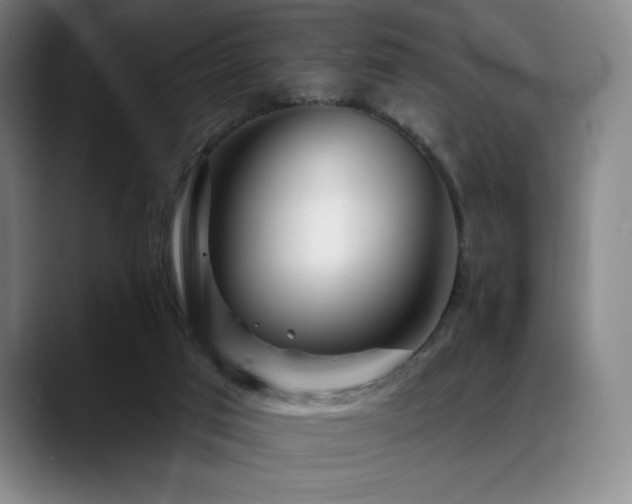 X0000089440017200706151422