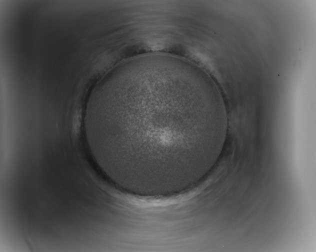 X0000089440018200706151422