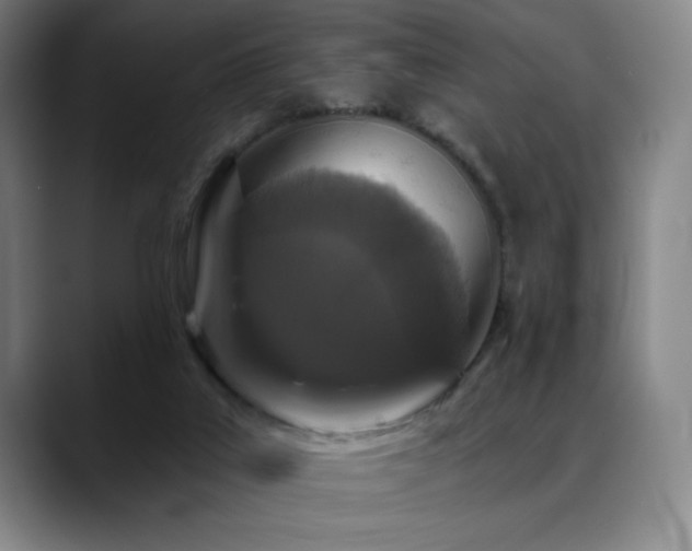 X0000089440019200706151422