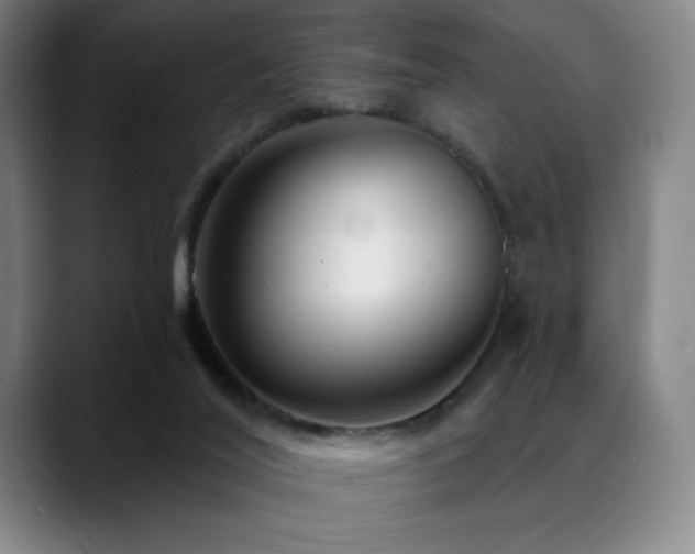 X0000089440020200706151422