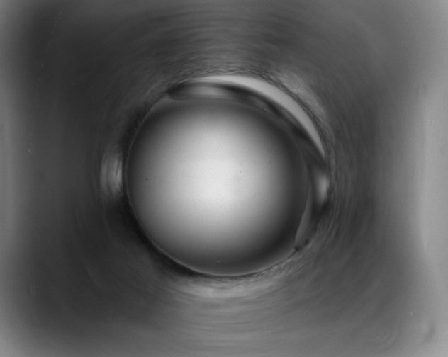 X0000089440021200706151422