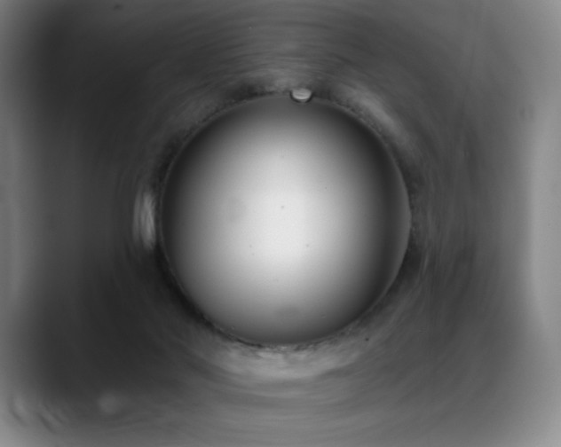 X0000089440022200706151422