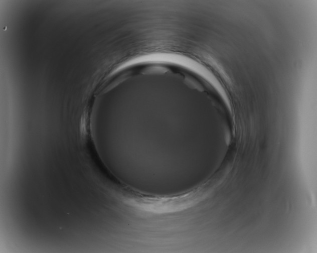 X0000089440023200706151422