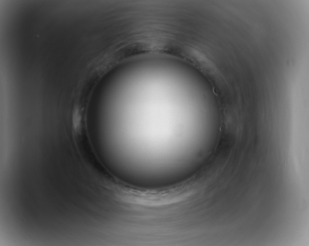 X0000089440026200706151422