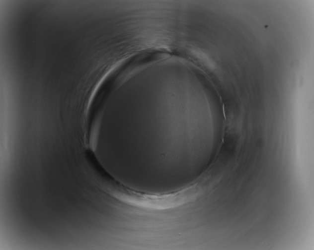 X0000089440027200706151422