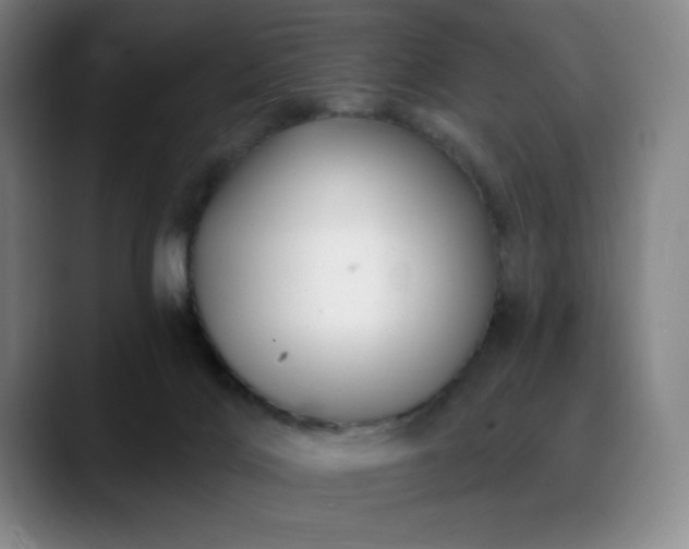 X0000089440028200706151422