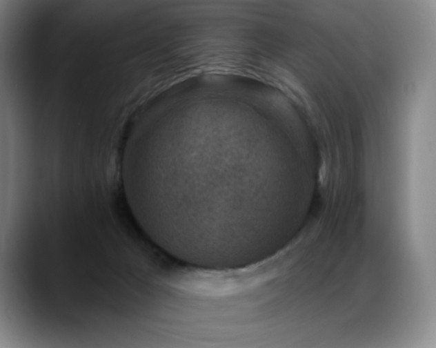 X0000089440029200706151422