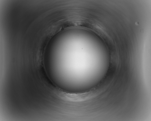 X0000089440030200706151422