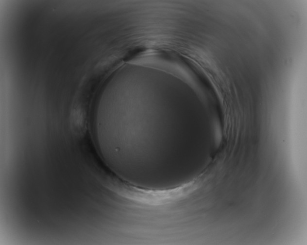 X0000089440031200706151422