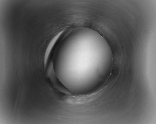 X0000089440033200706151422