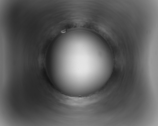 X0000089440034200706151421