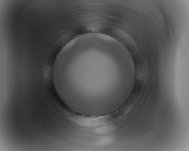 X0000089440036200706151421