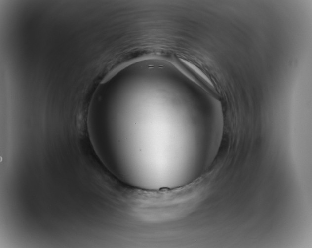 X0000089440037200706151421
