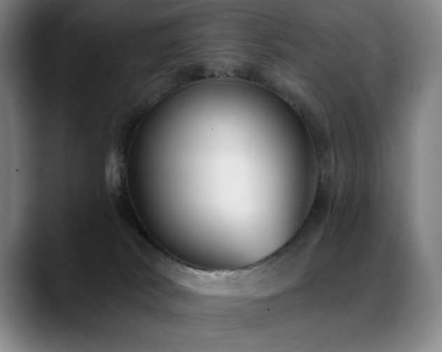 X0000089440038200706151421