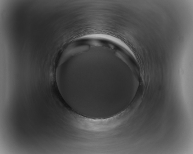 X0000089440039200706151421