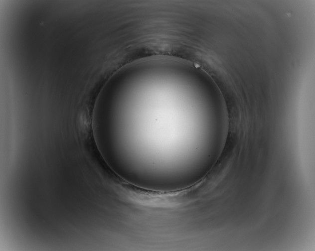 X0000089440040200706151421
