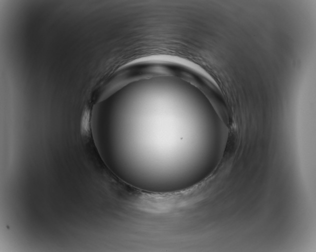 X0000089440041200706151421