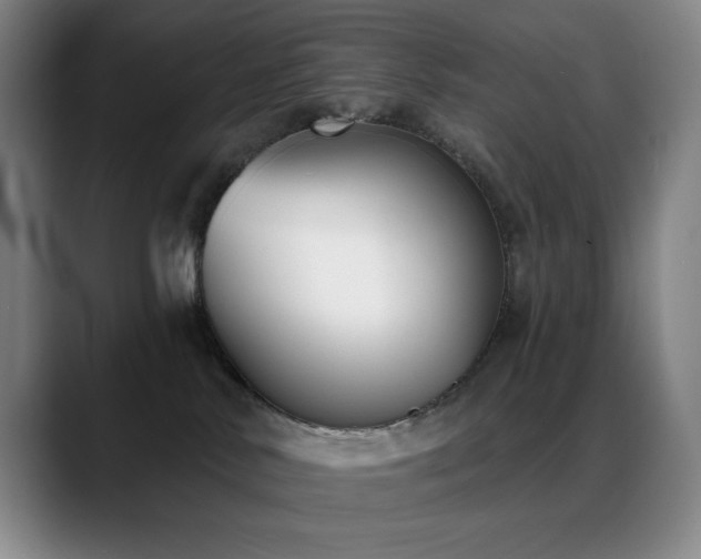 X0000089440042200706151421
