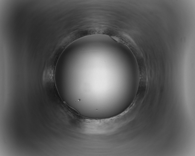 X0000089440045200706151421