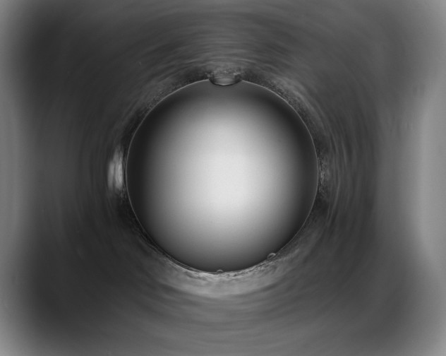 X0000089440046200706151421