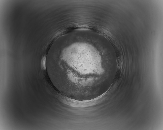 X0000089440047200706151421