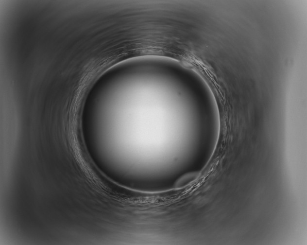 X0000089440049200706151421