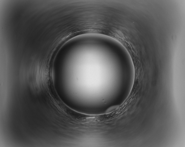 X0000089440050200706151421