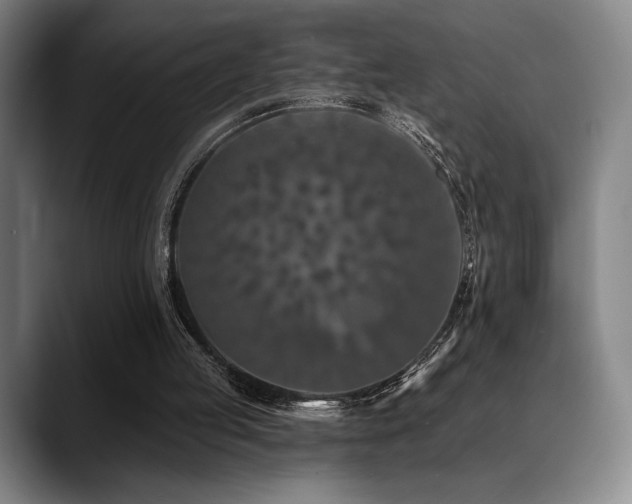 X0000089440053200706151421