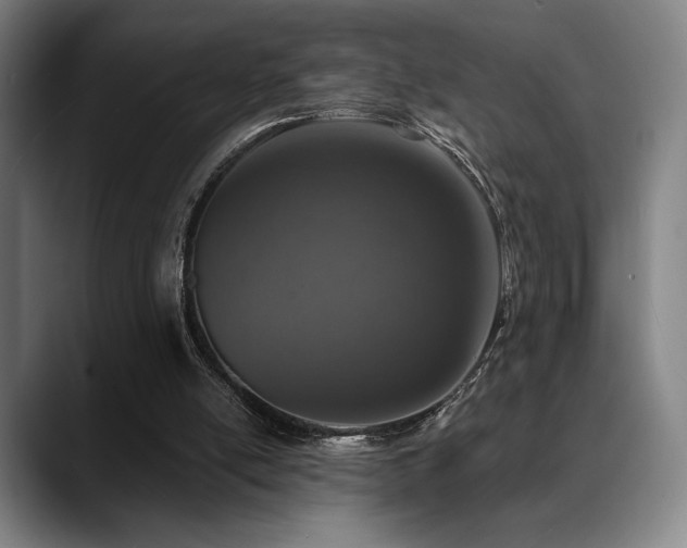 X0000089440054200706151421