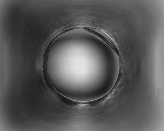 X0000089440055200706151421