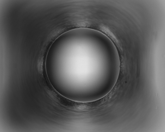 X0000089440058200706151421