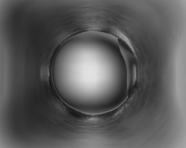 X0000089440059200706151421