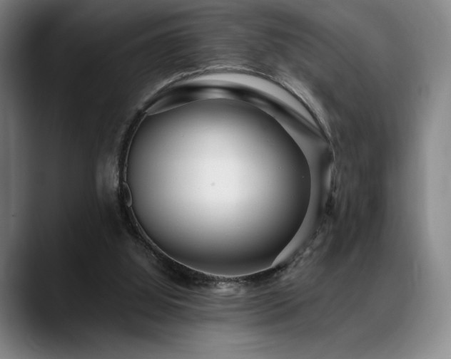 X0000089440060200706151421
