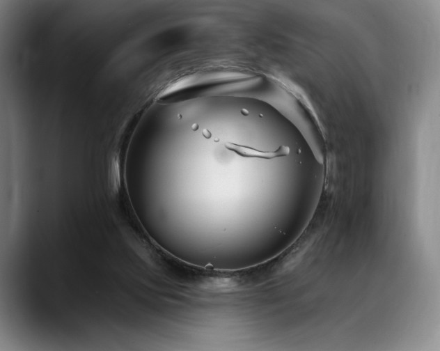 X0000089440061200706151421