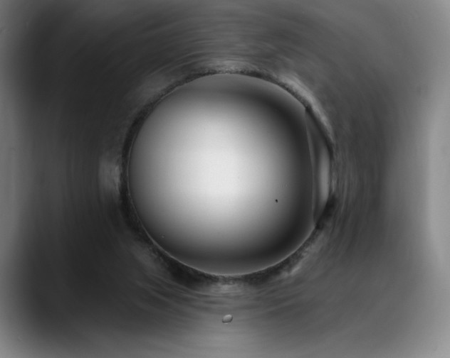 X0000089440063200706151421