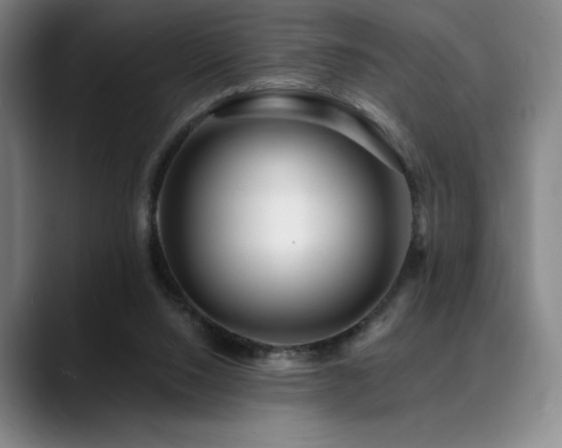 X0000089440064200706151421