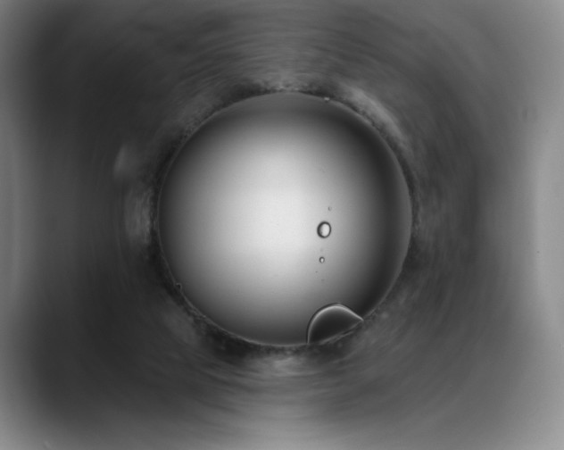 X0000089440065200706151421