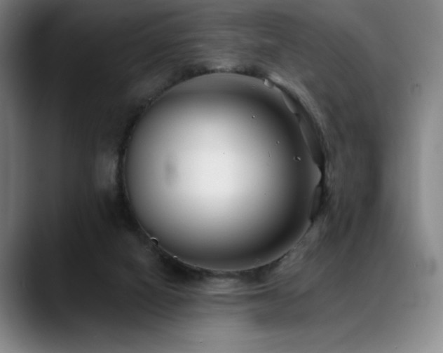 X0000089440066200706151421