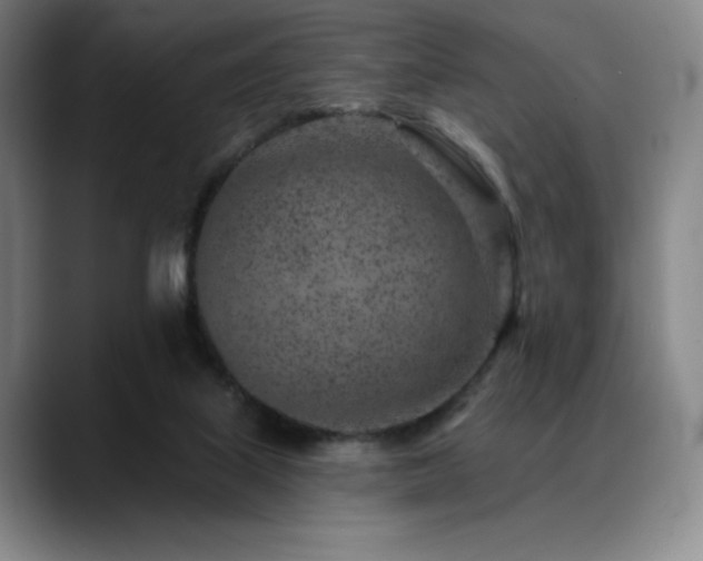 X0000089440067200706151421