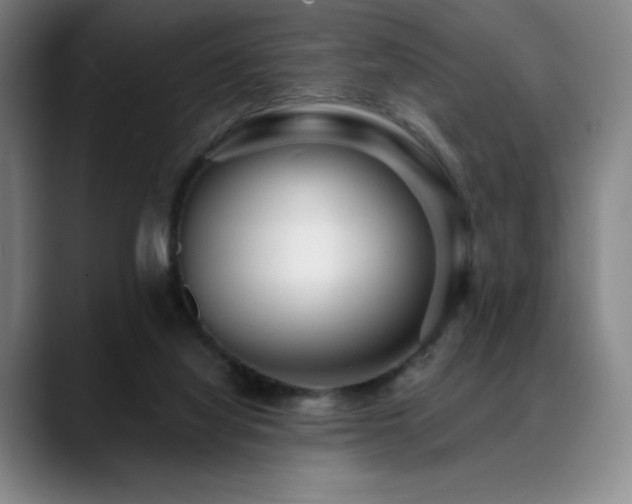 X0000089440068200706151421