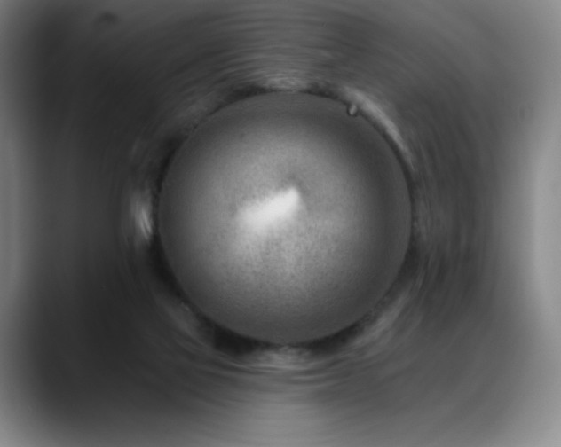 X0000089440069200706151421