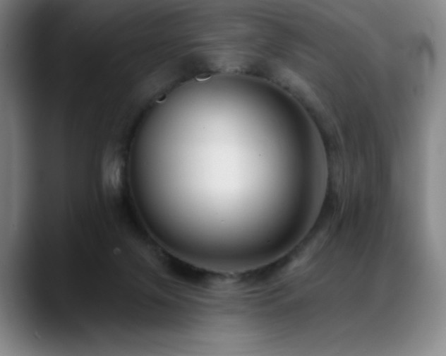 X0000089440071200706151421