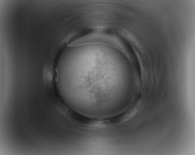 X0000089440072200706151421