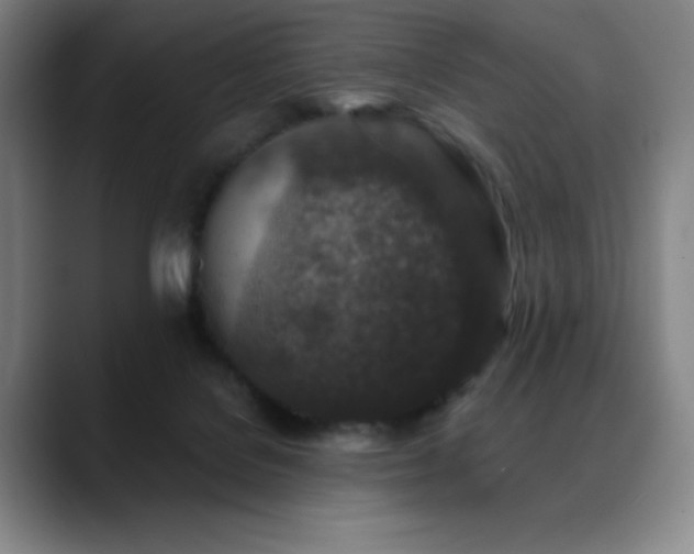 X0000089440076200706151421