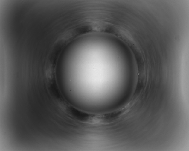X0000089440078200706151421
